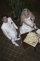 Hajek wedding 2010.. - tennis photo