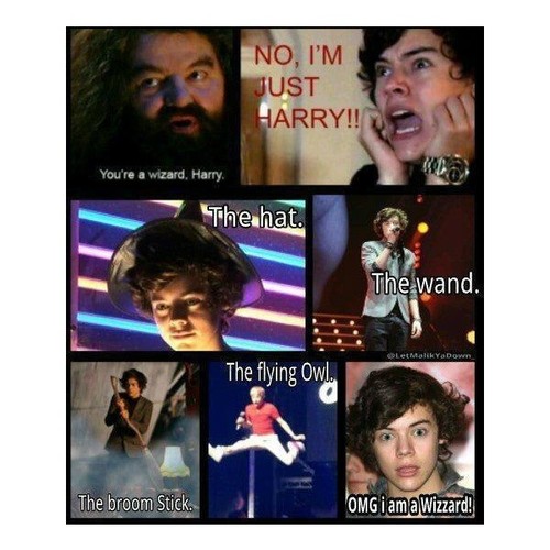 Harry Funnies