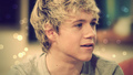 Niall<3 - one-direction photo