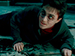 OotP - harry-potter icon