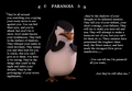 Paranoia - penguins-of-madagascar fan art