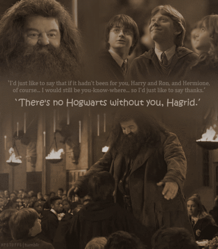  Professor Hagrid