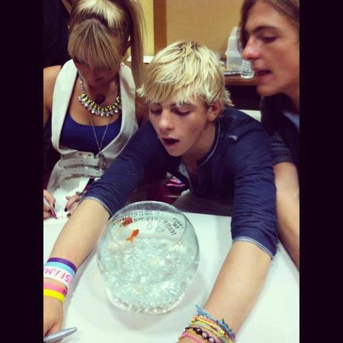 Rydel, Ross, and Rocky