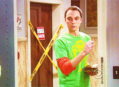  Sheldon Cooper