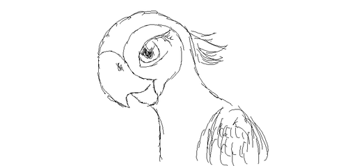 Some parrot practice :3