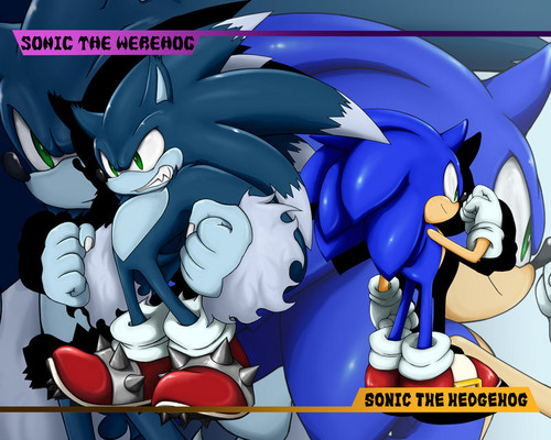  Sonic & Những người bạn