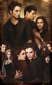The Twilight Saga :) - twilight-series photo