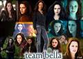 Twilight Collage(Bella) - twilight-series photo