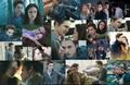 Twilight Collage(Belward) - twilight-series photo