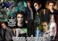 Twilight Collage(Edward) - twilight-series photo