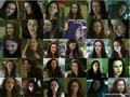 Twilight collage (Bella) - twilight-series photo