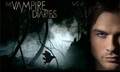 the vampire diaries - damon-and-stefan-salvatore photo