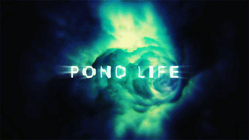 'Pond Life' Vortex