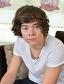 1D Members - one-direction photo