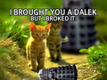 Dalek Funnies - doctor-who photo