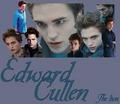 Edward Cullen collage - edward-cullen photo