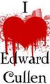Edward - twilight-series photo