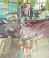 Harry, Ron and Hermione - harry-ron-and-hermione fan art