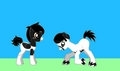 Neil and Dilara (As ponies) - fans-of-pom photo