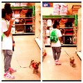 Spoiling beans 2 day!! This dog has is so hyper!:) #Spreadthepeace Follow me on IG @princemisfit (Ta - mindless-behavior photo