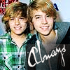  Sprouse Brothers