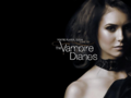 the-vampire-diaries - TVD wallpaper