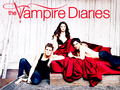 The Vampire Diaries Stefan Elena Damon - the-vampire-diaries photo
