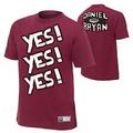 YES OR NO? - wwe photo