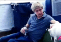 niall  - one-direction photo