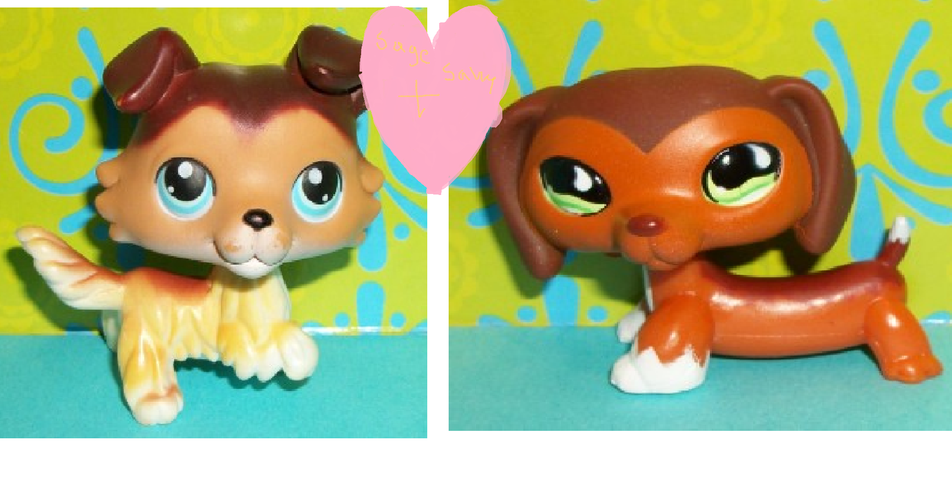 fan Art of sage + savvy for fans of Lps Popular, for Sophiegtv! 
