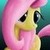 Fluttershy acting shy.