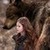  Not who I pictured Renesmee to be