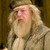  New Dumbledore
