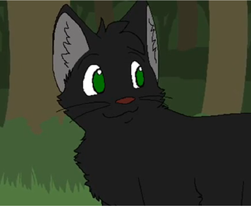 What happen to Hollyleaf?