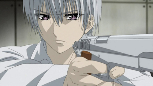 What is the name of Zero Kiryu's gun?