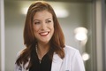  In the alternate universe episode of Grey's Anatomy, who is the father of Addison's baby?