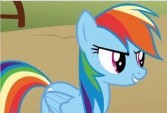 True or False: Rainbow Dash has never been cloned