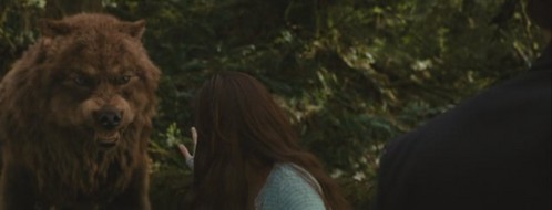  How many times does Bella say "Stop!"in this scene?