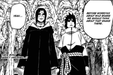  who Enemies sasuke and dead itachi fight together...,??