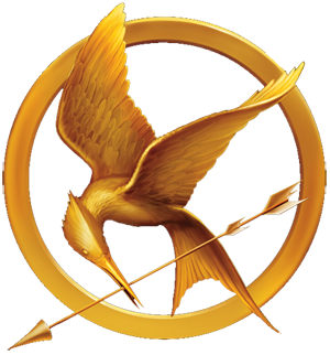 For the Hunger Games interviews, how long is each interview?