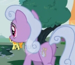  What is the name of this pony?