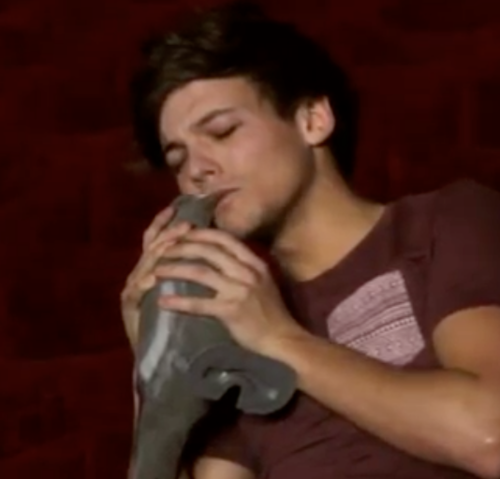  What was Louis' pigeon's name in the video diary?