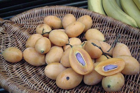 What fruit is this?