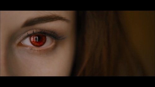 When Bella opened her eyes for the first time as a vampire, who was the first person she saw?