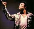  Michael Jackson donated 100 percent of the profits from his single "Man in the Mirror" to charity
