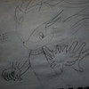 blaze the cat ( i drew this) blazewolf13 photo