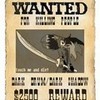 wanted! shadow_wife234 photo