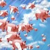 Flying pig group edoidge photo