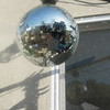 My disco ball escobara604 photo
