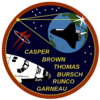 STS 77 Mission Patch RoyalSatanas photo